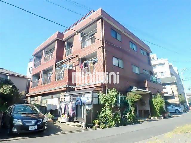 �����ɐ���E��t���@�ܔ���w�i�k��8���j