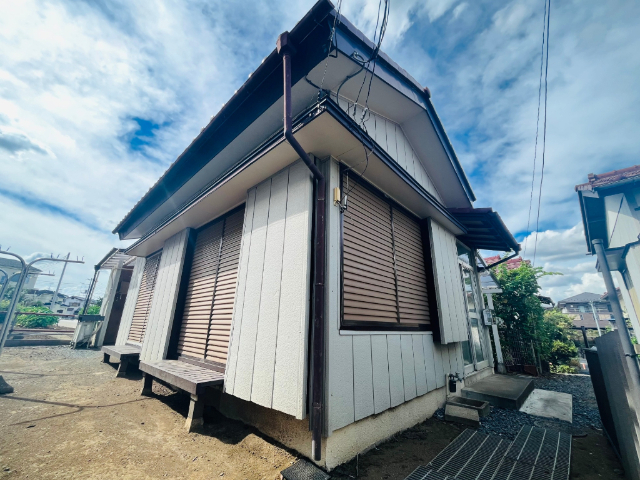 �����r�܁E�L�����@�����w�i�k��50���j