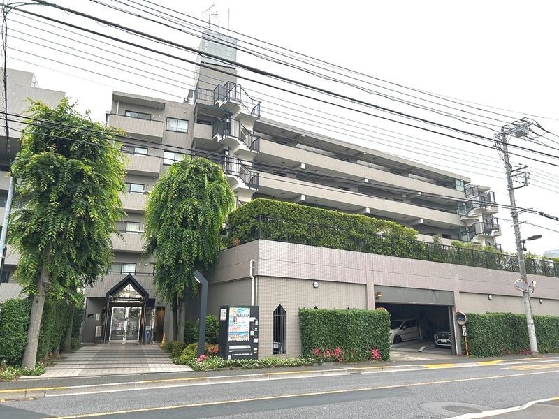 �����V�h���@�c���w�i�k��11���j