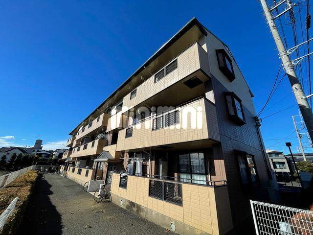 �Ó�V�h���C��������@�{���w�i�k��13���j