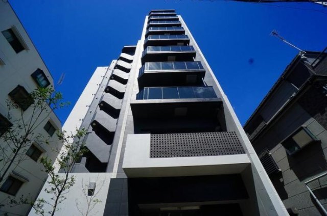 �I�X�X�������ʐ^