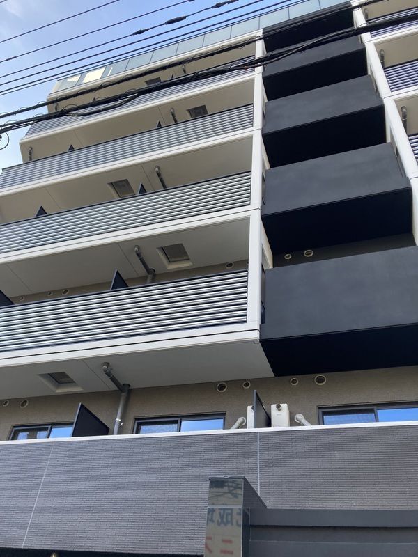 �I�X�X�������ʐ^