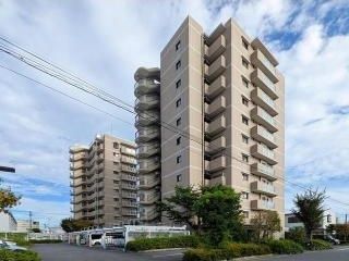 ���l���k�E���ݐ��@����w�i�k��20���j