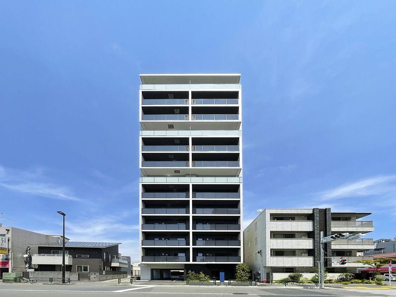 �I�X�X�������ʐ^