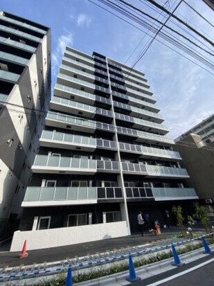 �I�X�X�������ʐ^