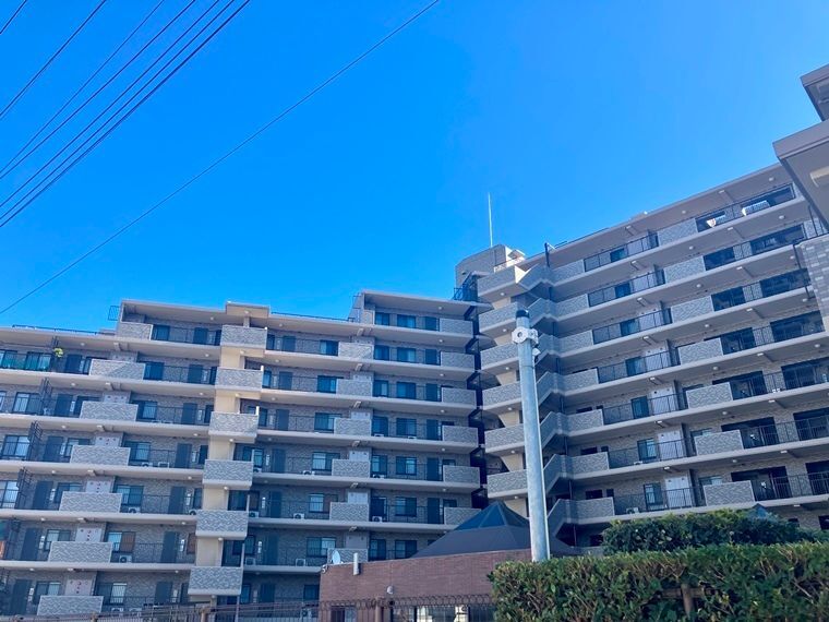 �����r�܁E�L�����@����w�i�k��4���j�A�����V�h���@����w�i�k��4���j