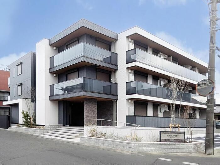 �I�X�X�������ʐ^