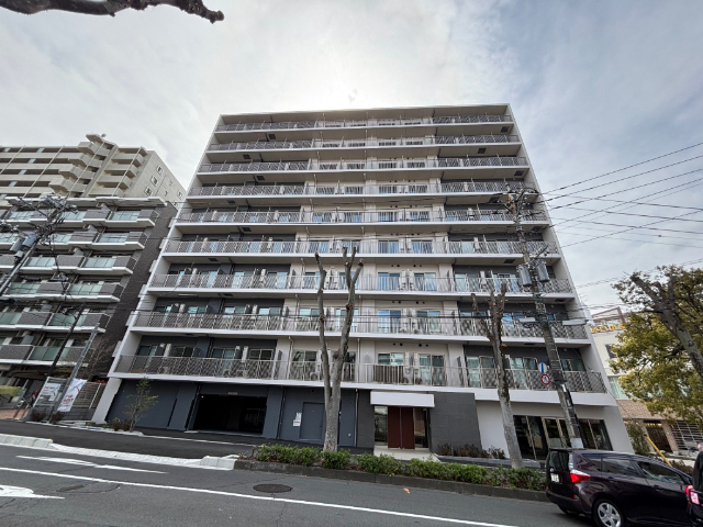 �I�X�X�������ʐ^