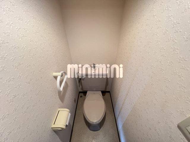 ����6