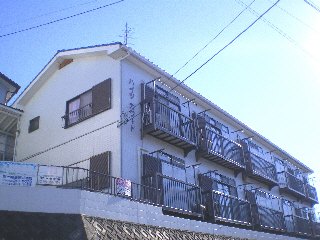 ��t����t�s�������˒��P�c�j