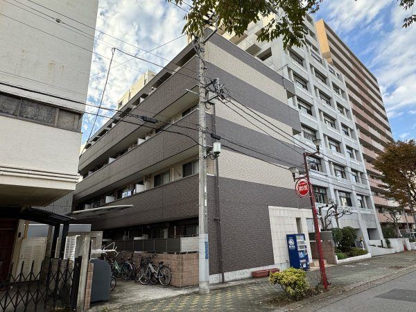 �����d�S��t���@��t�����w�i�k��10���j