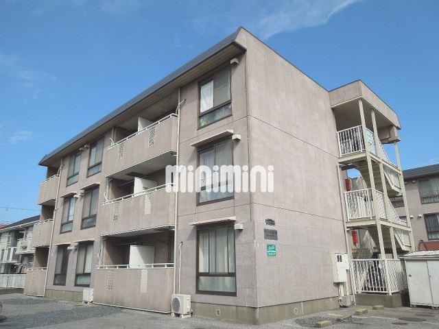 �����{���@�l�X���w�i�k��21���j�A�����{���@�l�X���w�i�o�X6�� �E���[��A �k��4���j