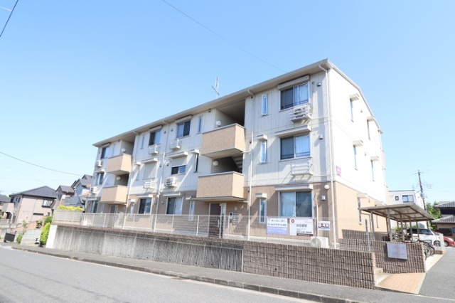 �O�[���@����w�i�k��26���j