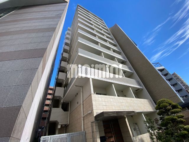 �I�X�X�������ʐ^