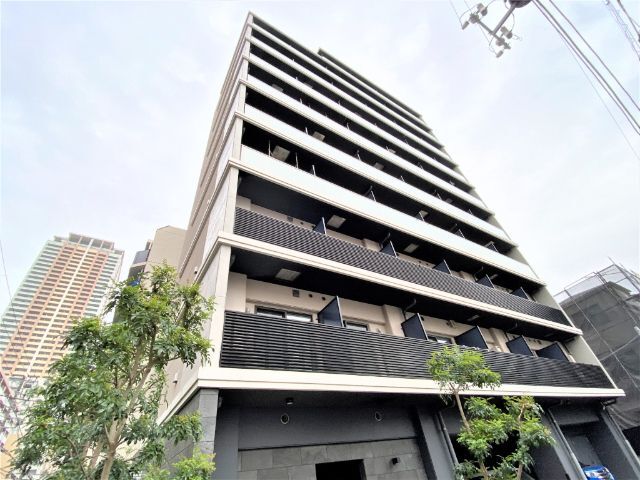 �I�X�X�������ʐ^