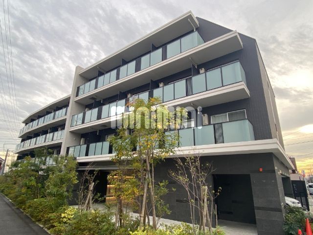 �I�X�X�������ʐ^