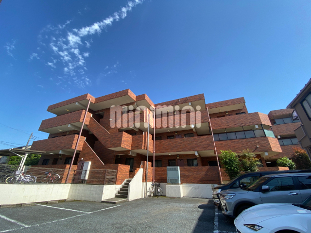 �����d�S�{���@����w�i�k��18���j