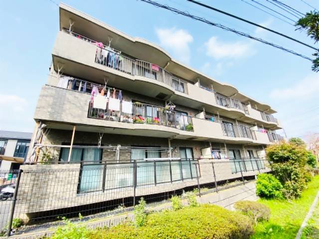 �����E�����ɍs���@�{�����w�i�k��17���j