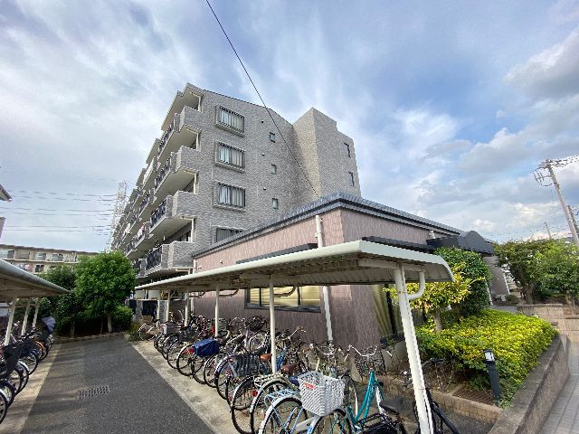 �����{���@�D���w�i�k��13���j