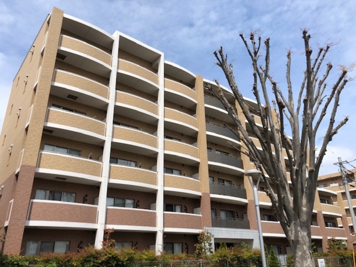 �V�����d�S�@�����،ˉw�i�k��10���j