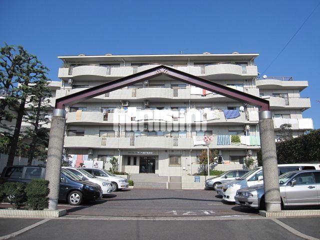�V�����d�S�@��{���w�i�k��24���j