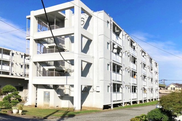 ���c�E��֊ɍs���@�k�����w�i�k��24���j