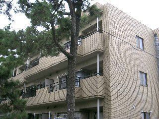 �����d�S�{���@�����w�i�k��12���j