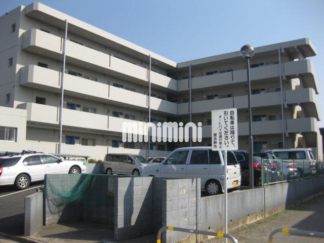 �����E�����ɍs���@�Óc���w�i�k��12���j