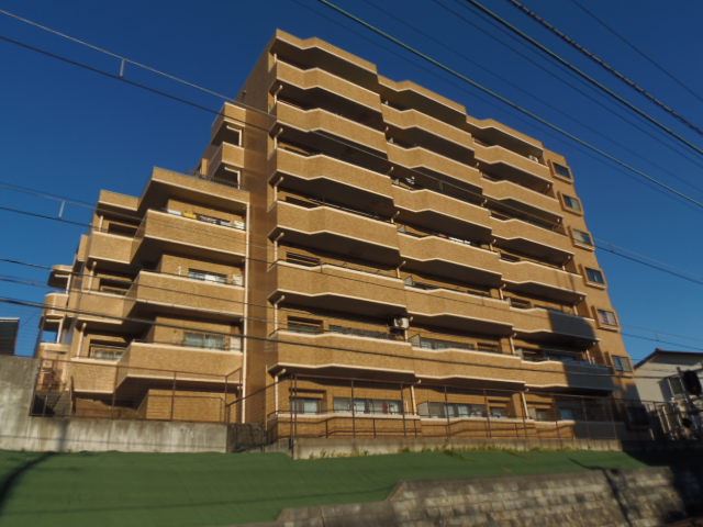 �����d�S�{���@�J�Éw�i�k��10���j