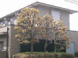 �����d�S�{���@�����w�i�k��6���j