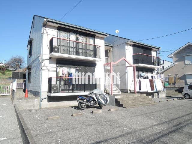 ���΃G�N�X�v���X�@���̗t�L�����p�X�w�i�k��25���j