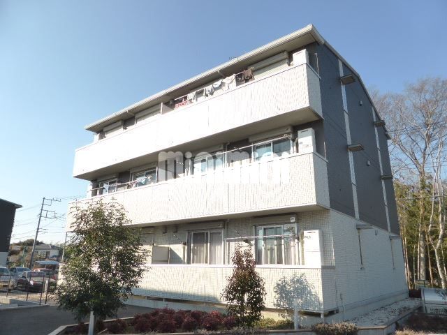 ���c�X�J�C�A�N�Z�X�@�V�����J�w�i�k��51���j