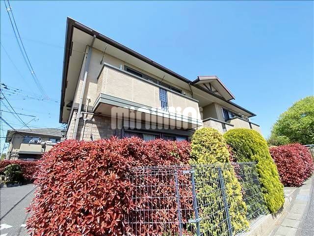 ���c�E��֊ɍs���@�k�����w�i�k��12���j