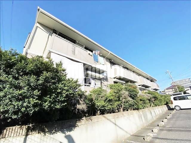 ���΃G�N�X�v���X�@���R�Z���g�����p�[�N�w�i�k��14���j