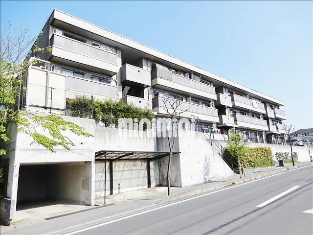 ���΃G�N�X�v���X�@���R�Z���g�����p�[�N�w�i�k��22���j