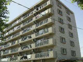 ��֐��@�V����w�i�k��12���j