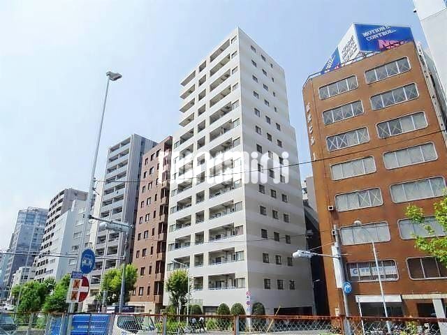 �I�X�X�������ʐ^