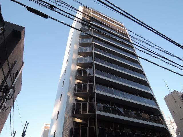 �I�X�X�������ʐ^