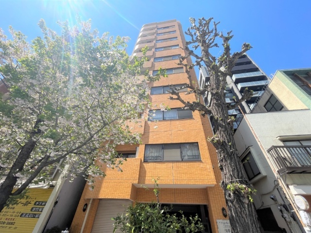 �����ɐ���E��t���@�󑐉w�i�k��8���j