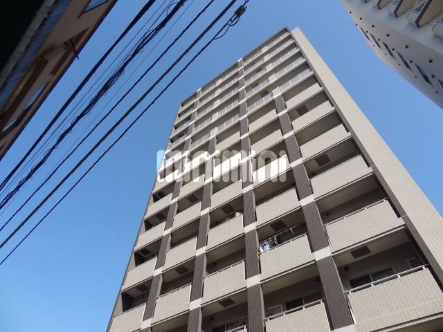 ���΃G�N�X�v���X�@�󑐉w�i�k��13���j