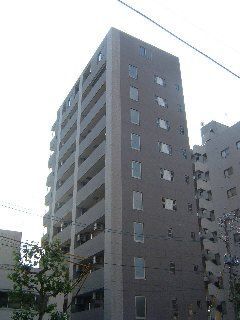 ���΃G�N�X�v���X�@�V��k���w�i�k��8���j