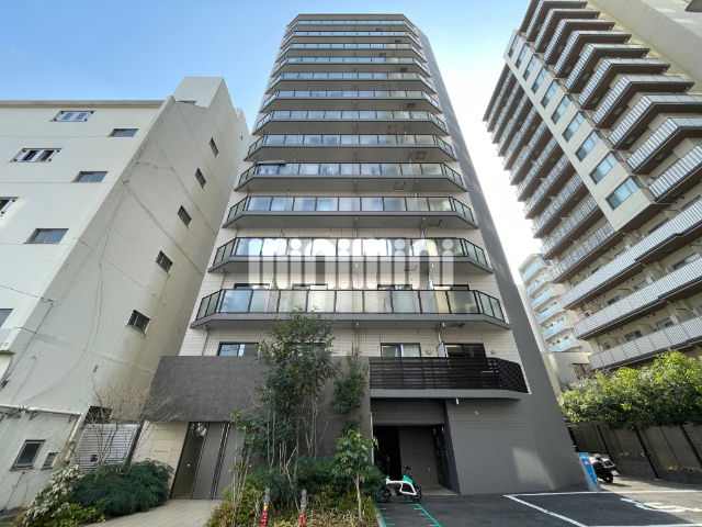 �s�c�n���S��]�ː��@���O�w�i�k��2���j