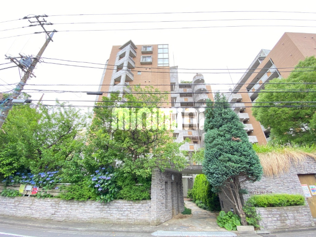 �����s�]�ː�撆�����U���ڂR�k�c�j