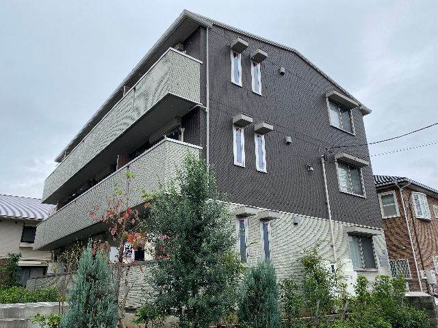 �I�X�X�������ʐ^