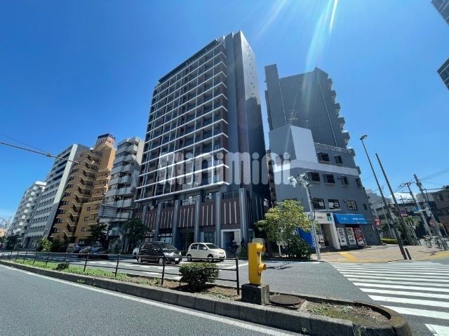 �I�X�X�������ʐ^