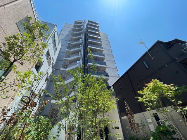 �������g��������@�c�����w�i�k��5���j