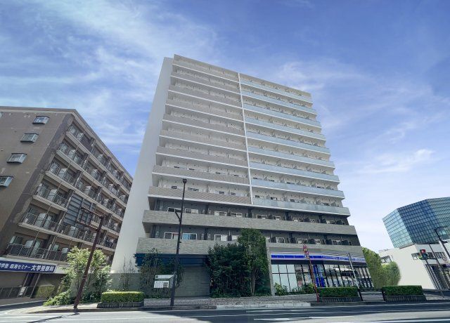 �I�X�X�������ʐ^