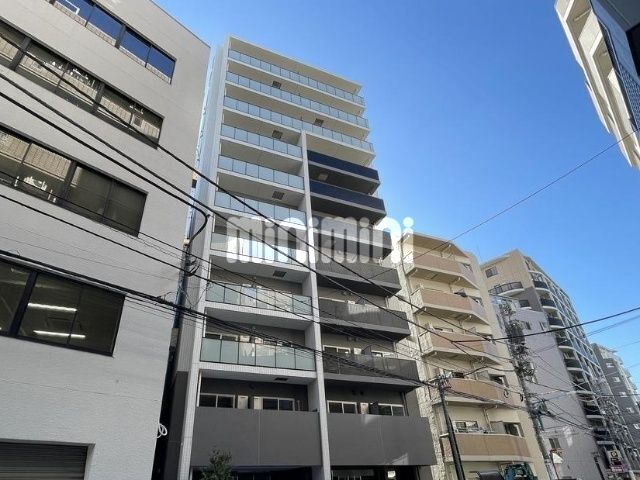 �I�X�X�������ʐ^