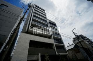 �I�X�X�������ʐ^