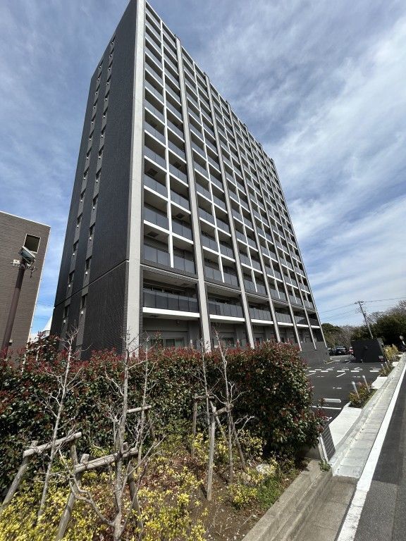 ���t�����S���@�D������O�w�i�k��1���j